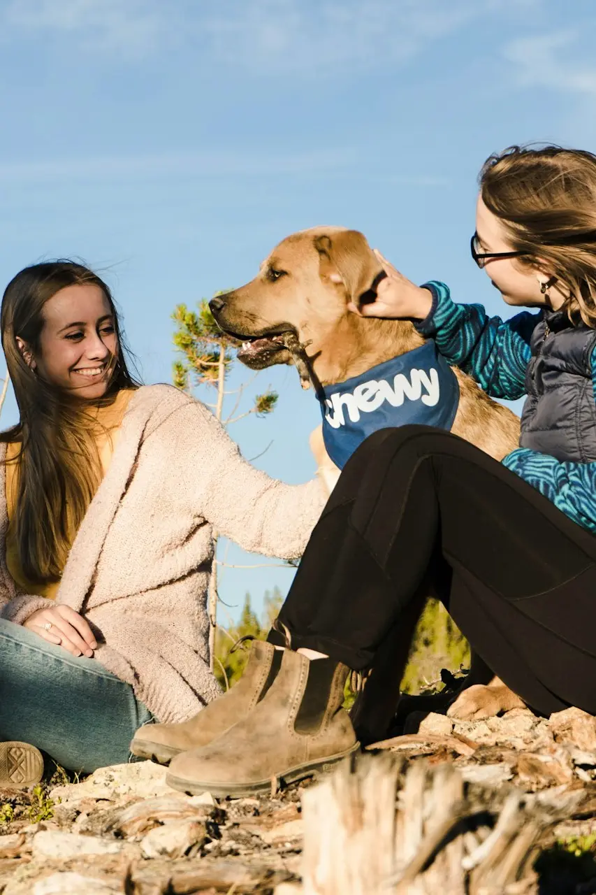 2 women sitting on rock during daytime